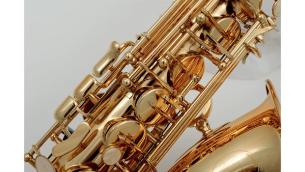 Student Kit: Harlem Alto Saxophone + Selmer Mouthpiece + Vandoren Reeds + BG Swabss & more