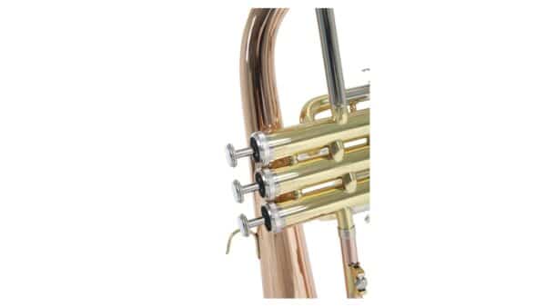 Flugelhorn Roy Benson en Sib FH-302G