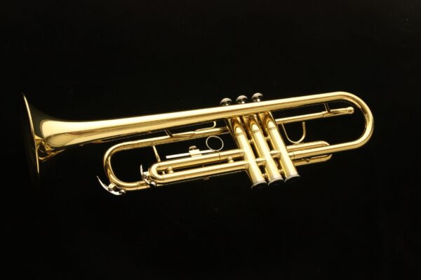 Trompeta Harlem TP300 Nueva! Con estuche ligero