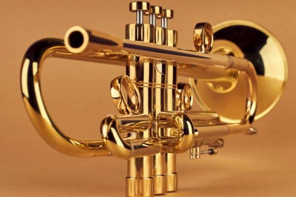 Trompeta Instruvents Profesional Handmade