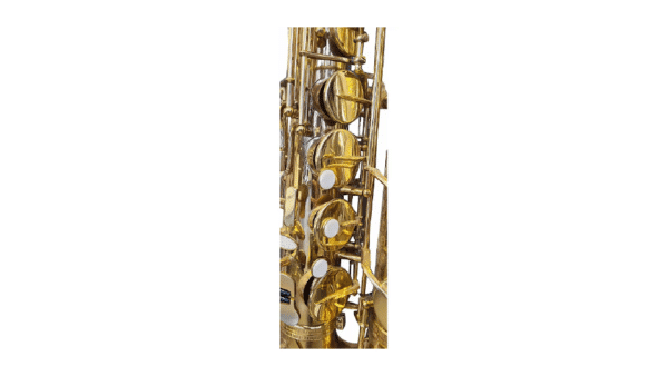 Saxo Tenor Stagg 77-ST