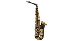 Selmer Supreme NG GO alto saxophone Black and Gold