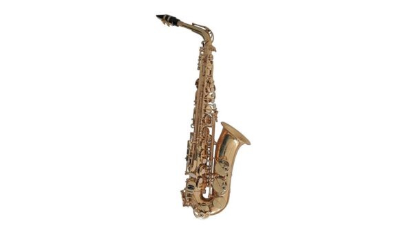 Conn AS-501 Gold Lacquered Alto Saxophone