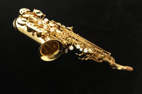 Kit Estudio: Saxo soprano curvo Harlem +Boquilla Selmer + Cañas Vandoren + Paños