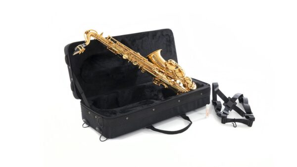 Conn Alto Saxophone for Children AS-655