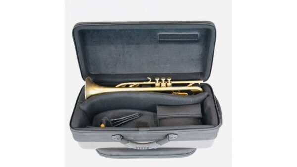 Estuche Bags EV-III Metalic para Trompeta y Flugel