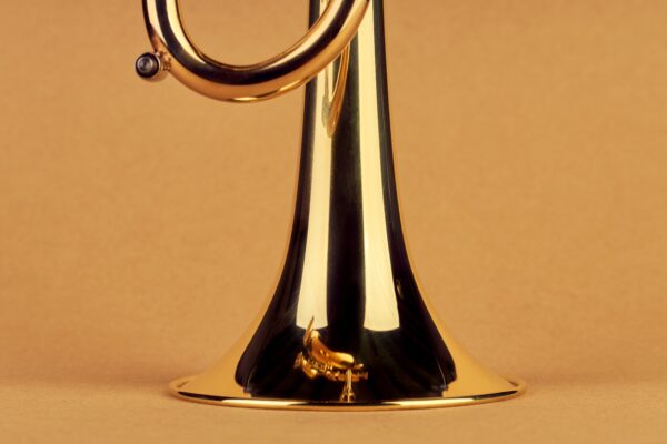 Trompeta Instruvents Profesional Handmade