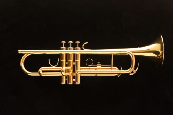 Trompeta Harlem TP300 Nueva! Con estuche ligero