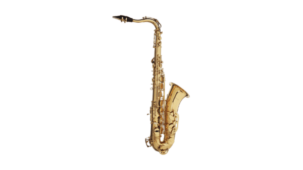 Saxo Tenor Stagg 77-ST