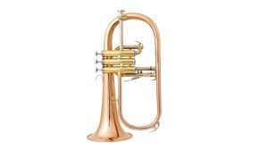 Flugelhorn Bach en Sib FH501 Lacado