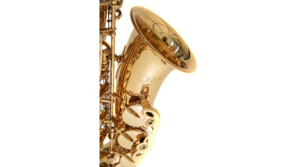 Conn AS-501 Gold Lacquered Alto Saxophone