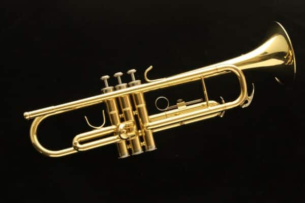 Trompeta Harlem TP300 Nueva! Con estuche ligero