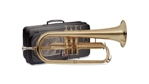 Flugelhorn Stagg 77-B