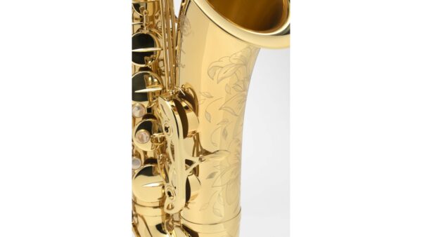 Alto Saxophone Selmer Axos