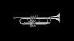 Stomvi Forte Sib Silver Trumpet