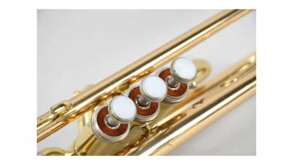 Trompeta Yamaha YTR-4320EG Japan