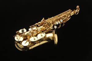 Harlem SSC-310 Curved Soprano Saxophone New! With light case