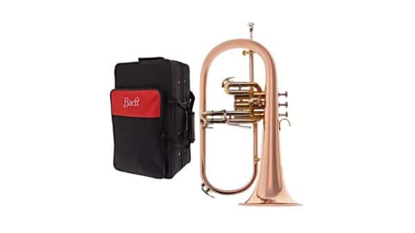 Flugelhorn Bach en Sib FH501 Lacado