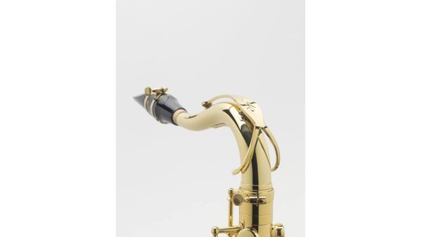 Selmer Axos Tenor Saxophone