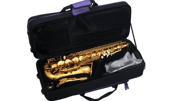Student Kit: Harlem Alto Saxophone + Selmer Mouthpiece + Vandoren Reeds + BG Swabss & more