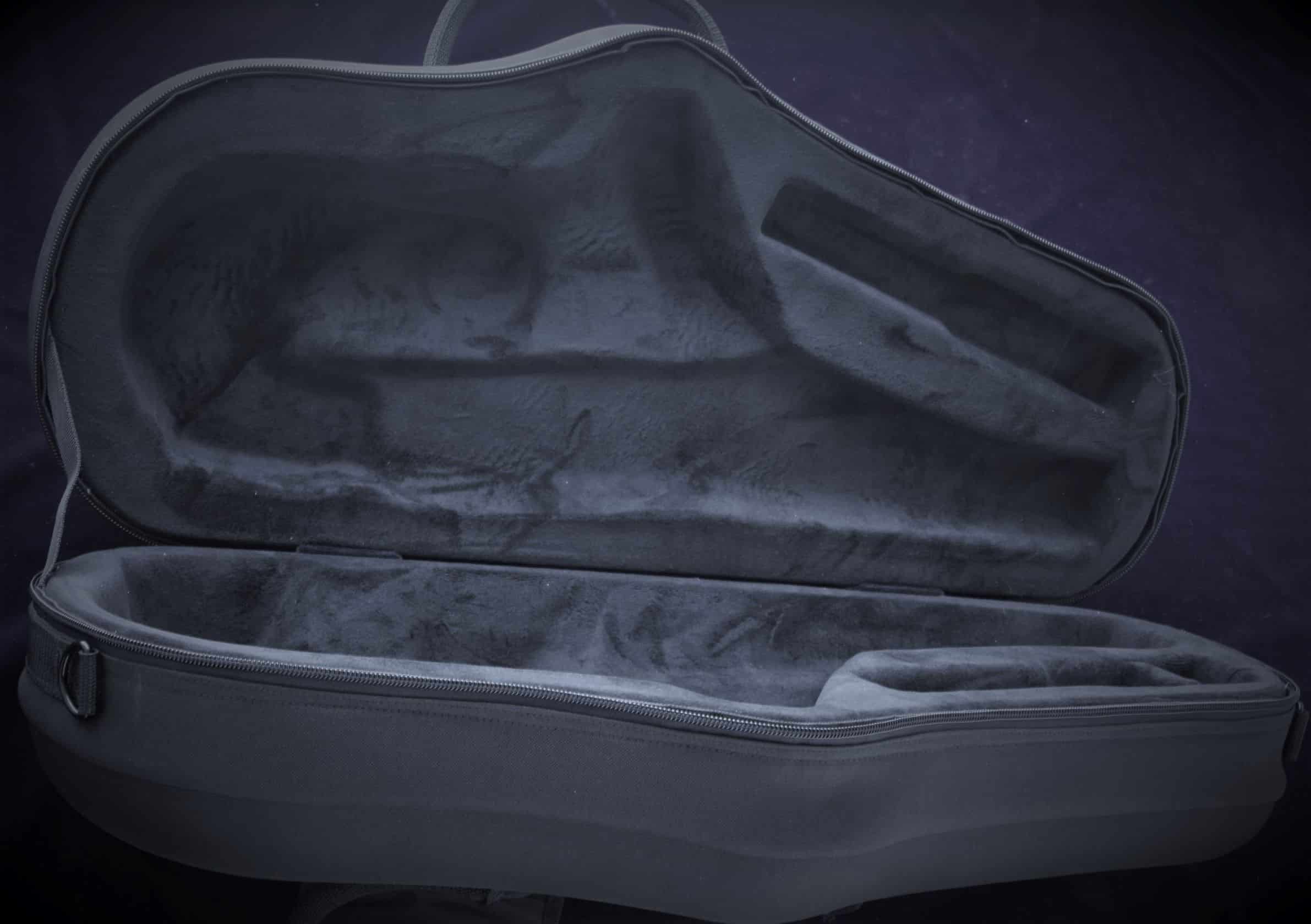 KTL case for saxo alto - Image 4