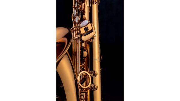 Saxo Tenor Selmer Supreme