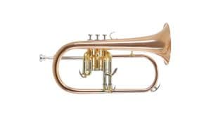 Flugelhorn Roy Benson en Sib FH-302G