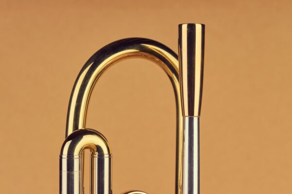 Trompeta Instruvents Profesional Handmade