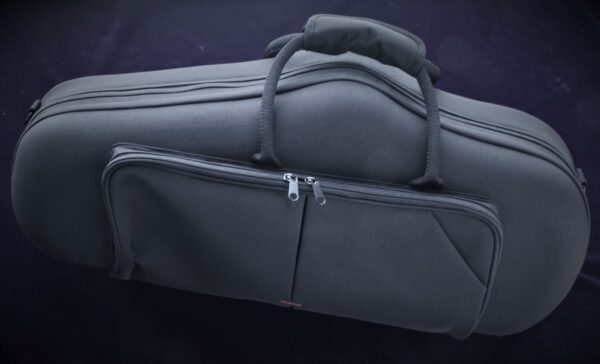 KTL case for saxo alto