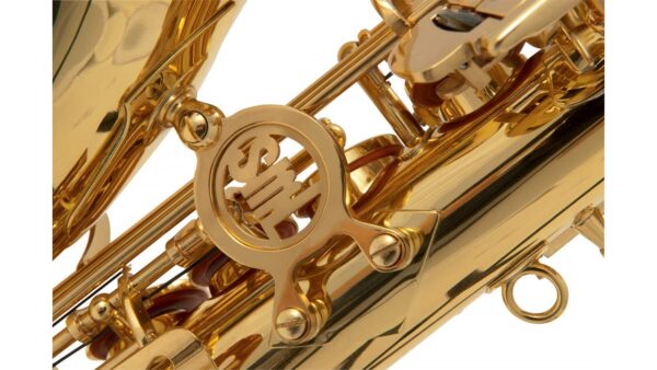 Student Kit: Harlem Alto Saxophone + Selmer Mouthpiece + Vandoren Reeds + BG Swabss & more