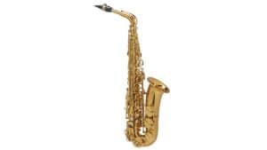 Selmer Supreme DGG Alto Sax Goldmessing Engraved