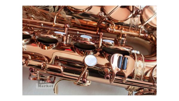 Saxo alto Wood Stone Ishimori Super Custom VL