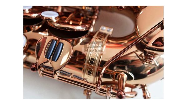 Saxo alto Wood Stone Ishimori Super Custom VL