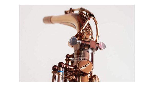 Saxo alto Wood Stone Ishimori Super Custom VL