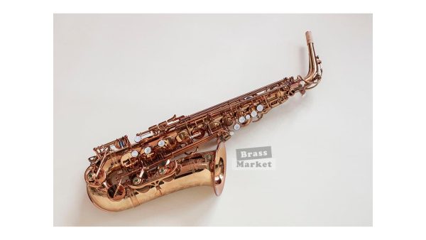 Saxo alto Wood Stone Ishimori Super Custom VL