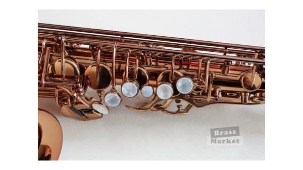 Saxo alto Wood Stone Ishimori Super Custom VL