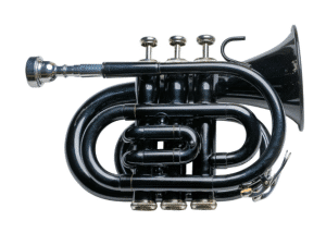 Taylor Collins TCPTR-13 Pocket Trumpet