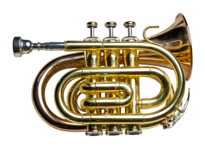 Taylor Collins TCPTR-36 Pocket Trumpet Lacquered/Rose Gold