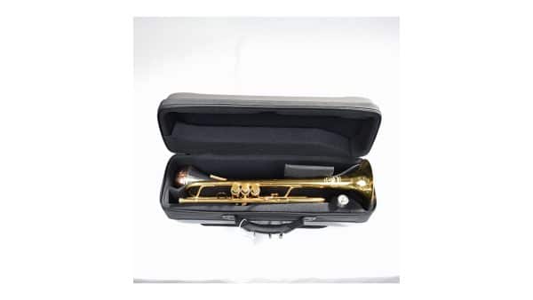 EV-III "FLIGHT" Metallic Trumpet Case