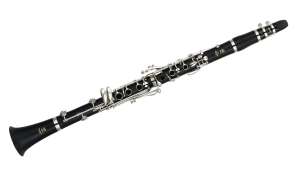 Clarinete en Sib Yamaha YCL-255S