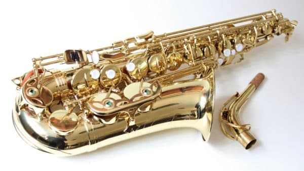 Student Kit: Harlem Alto Saxophone + Selmer Mouthpiece + Vandoren Reeds + BG Swabs & more