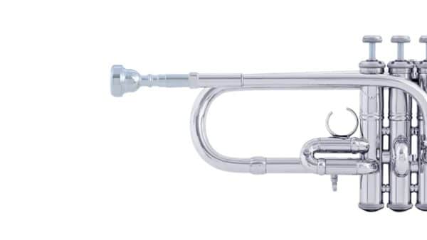 Bach Stradivarius Artisan AED190S Trumpet in E flat/D