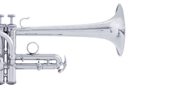 Bach Stradivarius Artisan AED190S Trumpet in E flat/D
